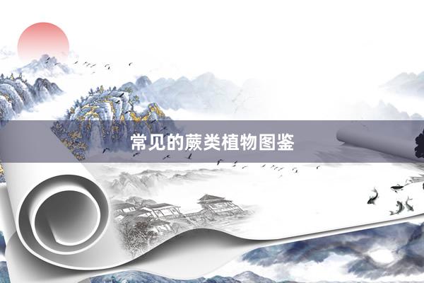 常见的蕨类植物图鉴